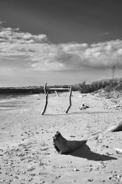 İtalya, Sicilya, ragusa eyaletinde, güneydoğu kıyısında, Akdeniz, boles ve köpekler sahilde dalgalar deniz tarafından taşınan