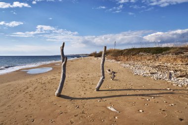 İtalya, Sicilya, ragusa eyaletinde, güneydoğu kıyısında, Akdeniz, boles ve köpekler sahilde dalgalar deniz tarafından taşınan