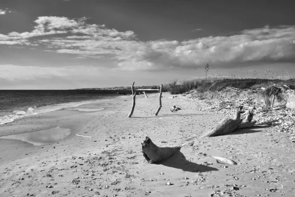 Italia Sicilia Provincia Ragusa Costa Sud Orientale Mar Mediterraneo Bole — Foto Stock