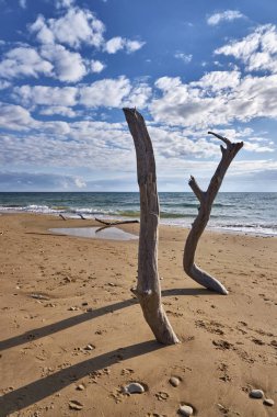 İtalya, Sicilya, Ragusa Eyaleti, Güneydoğu kıyıları, Akdeniz, kıyılarda deniz dalgaları tarafından taşınan civatalar.