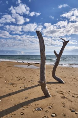 İtalya, Sicilya, Ragusa Eyaleti, Güneydoğu kıyıları, Akdeniz, kıyılarda deniz dalgaları tarafından taşınan civatalar.