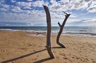İtalya, Sicilya, Ragusa Eyaleti, Güneydoğu kıyıları, Akdeniz, kıyılarda deniz dalgaları tarafından taşınan civatalar.