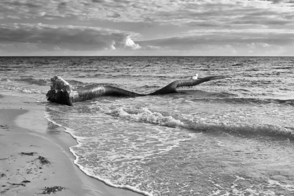 Italien Sizilien Provinz Ragusa Südostküste Mittelmeer Von Den Wellen Strand — Stockfoto