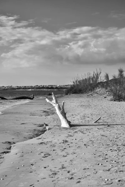 Italia Sicilia Provincia Ragusa Costa Sud Orientale Mar Mediterraneo Boli — Foto Stock