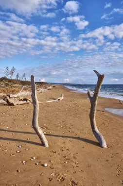 İtalya, Sicilya, Ragusa Eyaleti, Güneydoğu kıyıları, Akdeniz, kıyılarda deniz dalgaları tarafından taşınan civatalar.