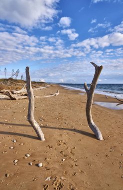 İtalya, Sicilya, Ragusa Eyaleti, Güneydoğu kıyıları, Akdeniz, kıyılarda deniz dalgaları tarafından taşınan civatalar.