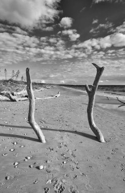 İtalya, Sicilya, Ragusa Eyaleti, Güneydoğu kıyıları, Akdeniz, kıyılarda deniz dalgaları tarafından taşınan civatalar.