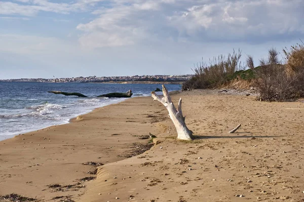 Itália Sicília Província Ragusa Costa Sudeste Mar Mediterrâneo Boles Transportados — Fotografia de Stock