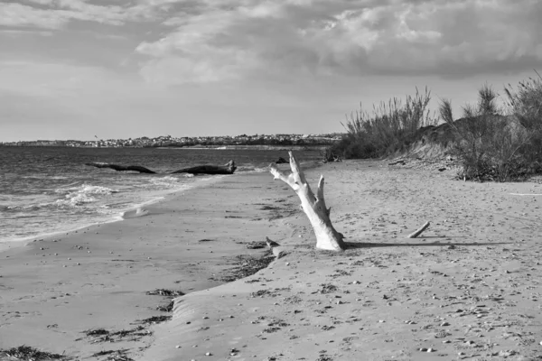 Italien Sicilien Ragusaprovinsen Sydöstra Kusten Medelhavet Bultar Stranden Vid Havsvågorna — Stockfoto