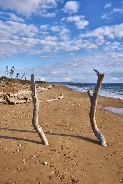 İtalya, Sicilya, Ragusa Eyaleti, Güneydoğu kıyıları, Akdeniz, kıyılarda deniz dalgaları tarafından taşınan civatalar.