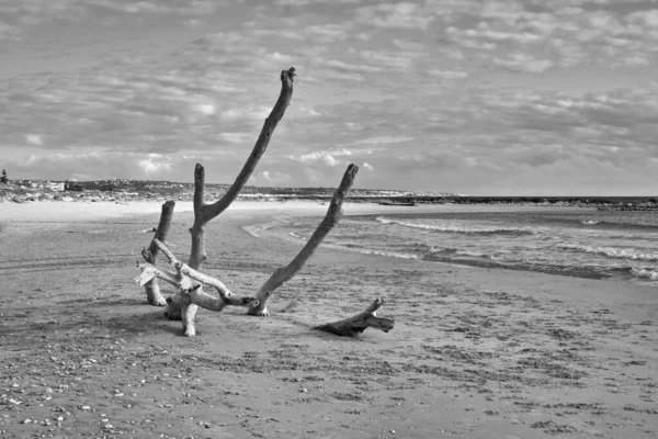 İtalya, Sicilya, Ragusa Eyaleti, Güneydoğu kıyıları, Akdeniz, kıyılarda deniz dalgaları tarafından taşınan civatalar.