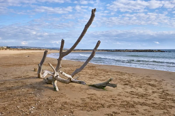 Italië Sicilië Provincie Ragusa Zuidoostkust Middellandse Zee Bassins Het Strand — Stockfoto