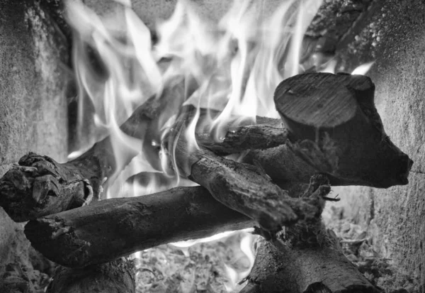 Leña Ardiendo Una Estufa — Foto de Stock