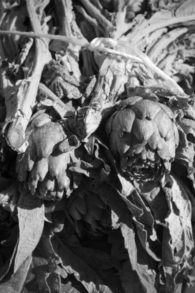 Italy Sicily Ragusa Province Countryside Agriculture Sicilian Artichokes Sale Local — Stock Photo, Image