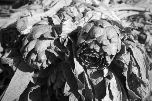 Italy Sicily Ragusa Province Countryside Agriculture Sicilian Artichokes Sale Local — Stock Photo, Image