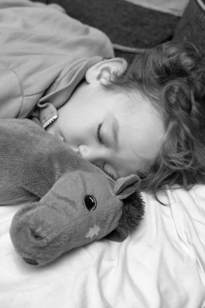 Enfant Mâle Ans Qui Dort Avec Son Cheval Jouet Préféré — Photo