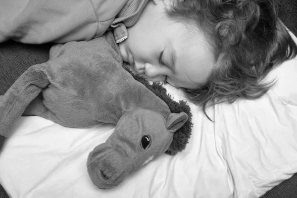Menino Anos Dormindo Com Seu Cavalo Brinquedo Preferido — Fotografia de Stock