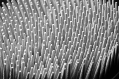 Tahta kürdanların makro fotoğrafı