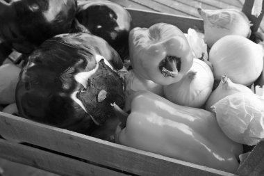 İtalya, Sicilya, ahşap bir kutuda taze sebzeler.