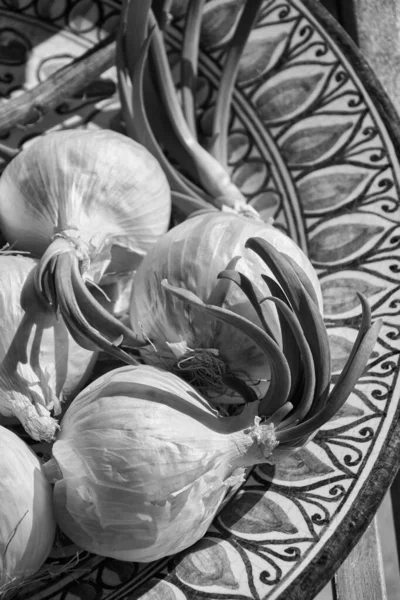Gıda Seramik Tabakta Beyaz Soğan — Stok fotoğraf