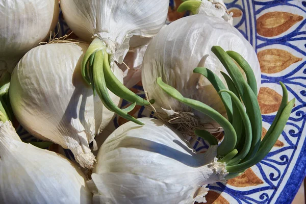 Aliments Oignons Blancs Sur Une Assiette Céramique — Photo