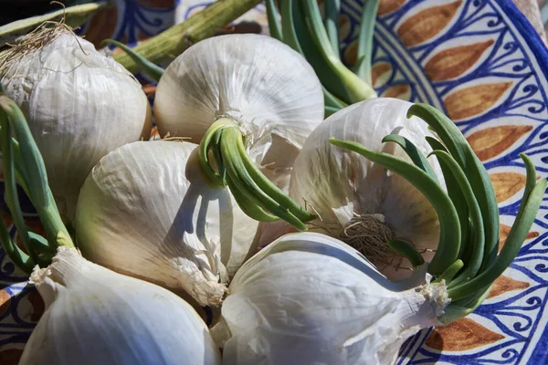 Food White Onions Ceramic Plate — Stock Photo, Image