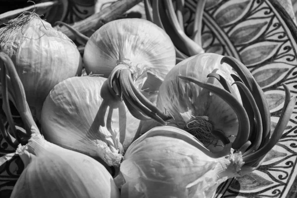 Alimentos Cebolas Brancas Numa Placa Cerâmica — Fotografia de Stock