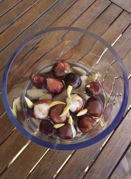 Tulipani Bulbo Che Crescono Vaso Vetro Con Acqua Pietre Tavolo — Foto Stock