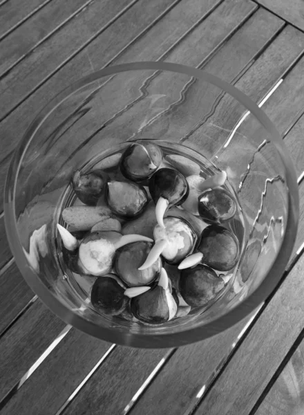 木のテーブルの上に水と石でガラス花瓶に成長している球根チューリップ — ストック写真