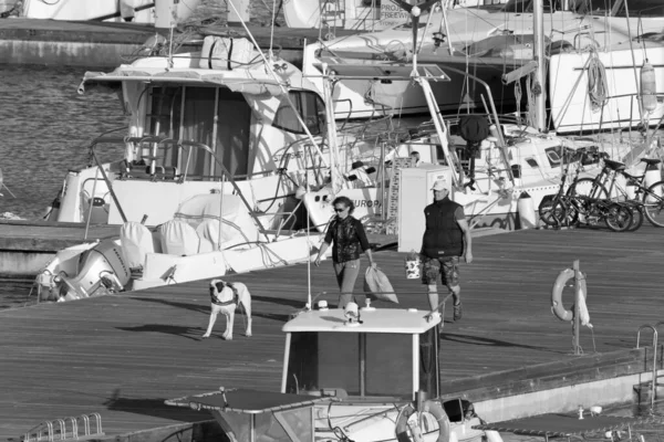 イタリア シチリア島 地中海 マリーナ ラグーザ ラグーザ州 5月2020 港に犬と豪華なヨットを持つ人々 Editorial — ストック写真