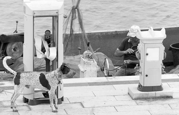 意大利 西西里 地中海 拉古萨海 拉古萨省 2020年5月18日 一名渔民带着一只狗在港口的一艘渔船上修理渔网 Editorial — 图库照片