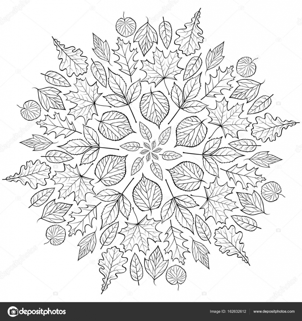 Patroon Met Herfstbladeren Stockvector Kiyanochka 162632612