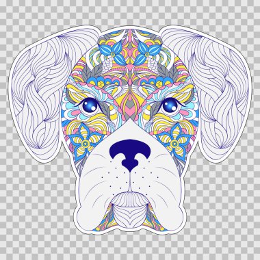 Köpek renkli başkanı