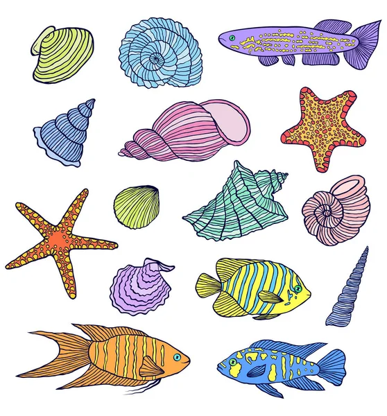 Conchas coloridas e peixes — Vetor de Stock