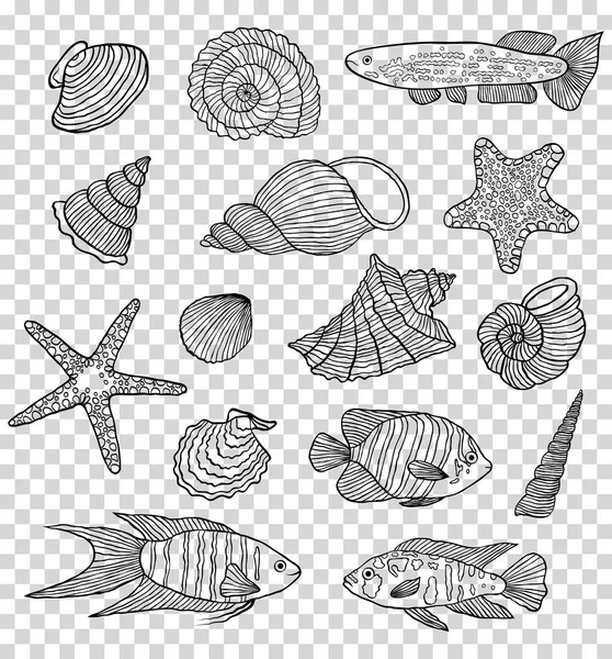 Conjunto de conchas e peixes — Vetor de Stock