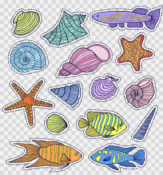 renkli kabuklar ve balıklar