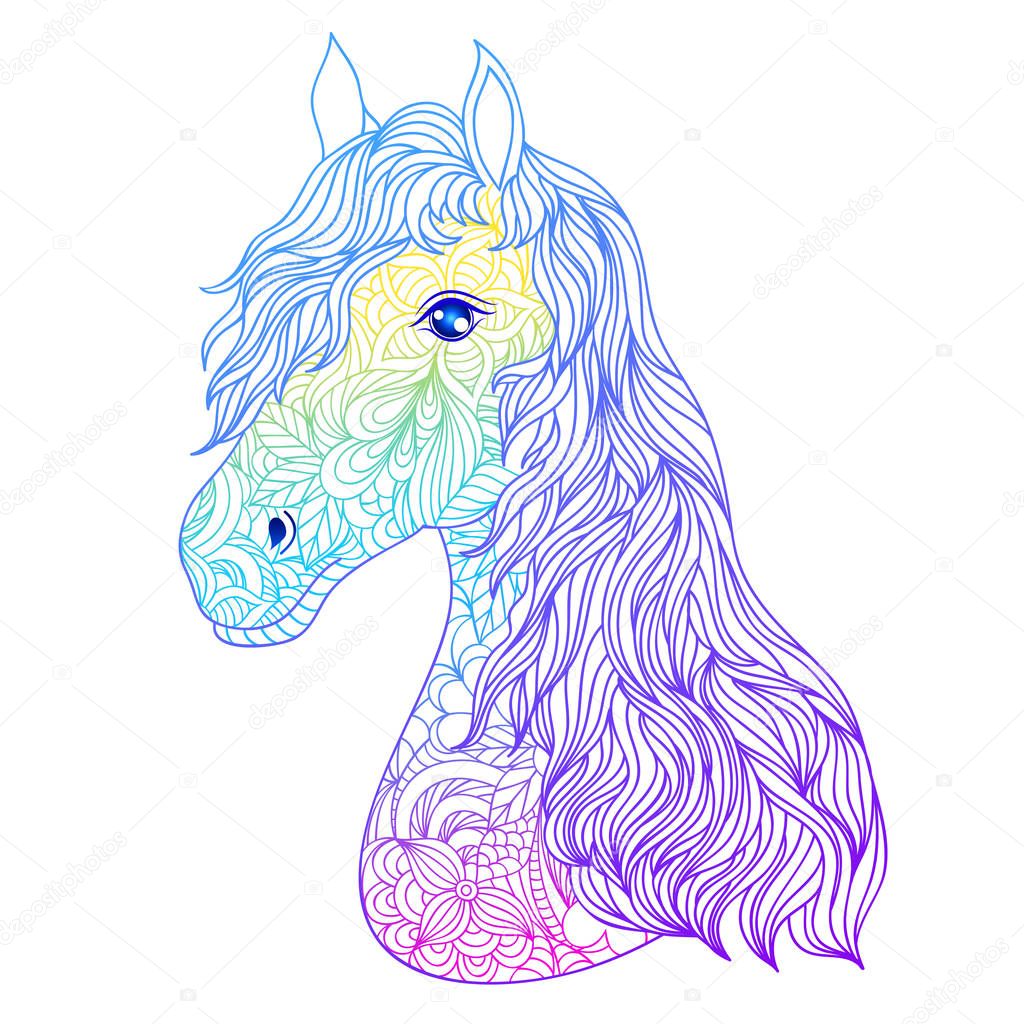 Hand drawn head of horse