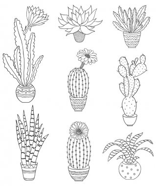 Elle çizilmiş houseplant kümesi