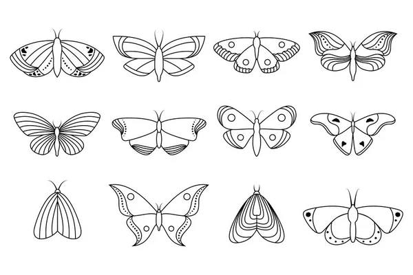 Συλλογή εικόνων πεταλούδες — Διανυσματικό Αρχείο