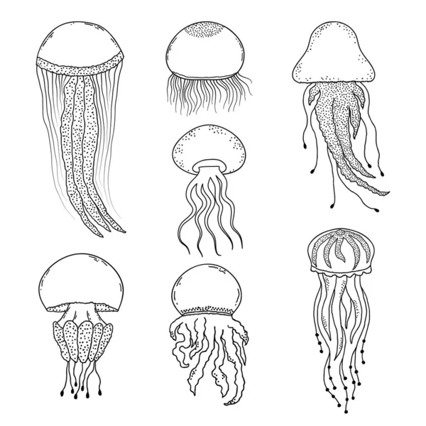 Set of jellyfishes — Stock Vector