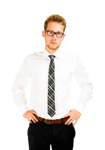 Half length portrait of a smart young businessman — Stock Photo, Image