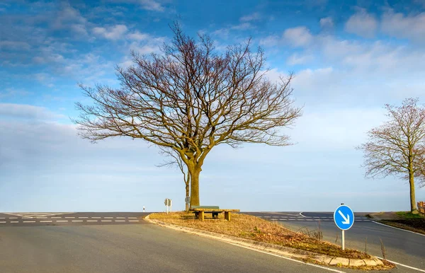 Landscape picture with a single tree in middle of the asphalt intersection on the horizon. — Stockfoto