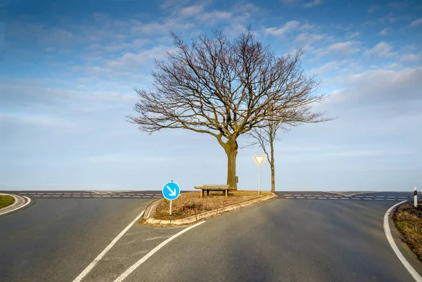 Landscape picture with a single tree in middle of the asphalt intersection on the horizon. — Stockfoto