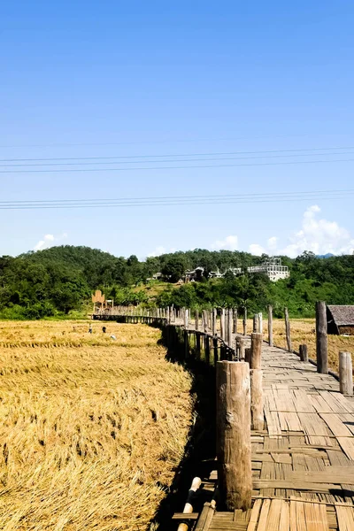 Su tong pe Brücke ist aus Bambus — Stockfoto