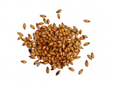 Beyaz Arkaplanda Malt ve Kızarmış Arpa