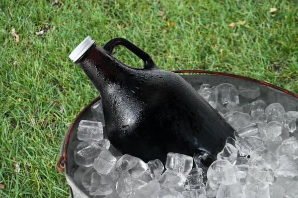 Gruñido de cerveza en cubo de hielo — Foto de Stock