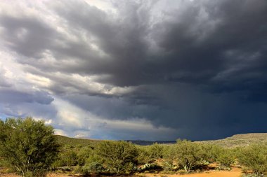 Sonoran Çölü fırtına
