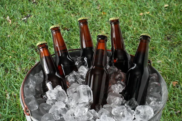 Seis pacotes de cerveja em balde de gelo — Fotografia de Stock