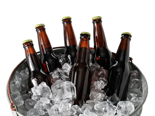 Pack de seis cervezas en cubo de hielo Fotos de stock libres de derechos