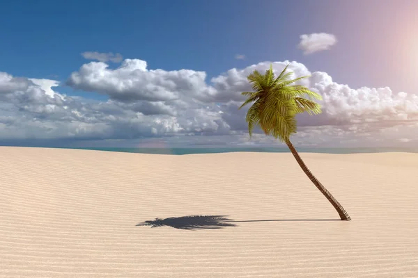 Representación en 3D desde un paisaje de playa con una palmera y un océano —  Fotos de Stock